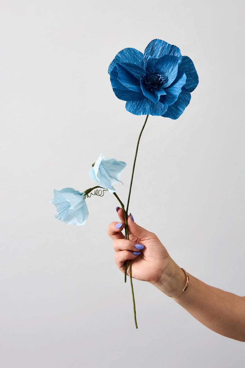 Vasenglück Papierblumen Papierblume | Himalaya Mohn | Blau