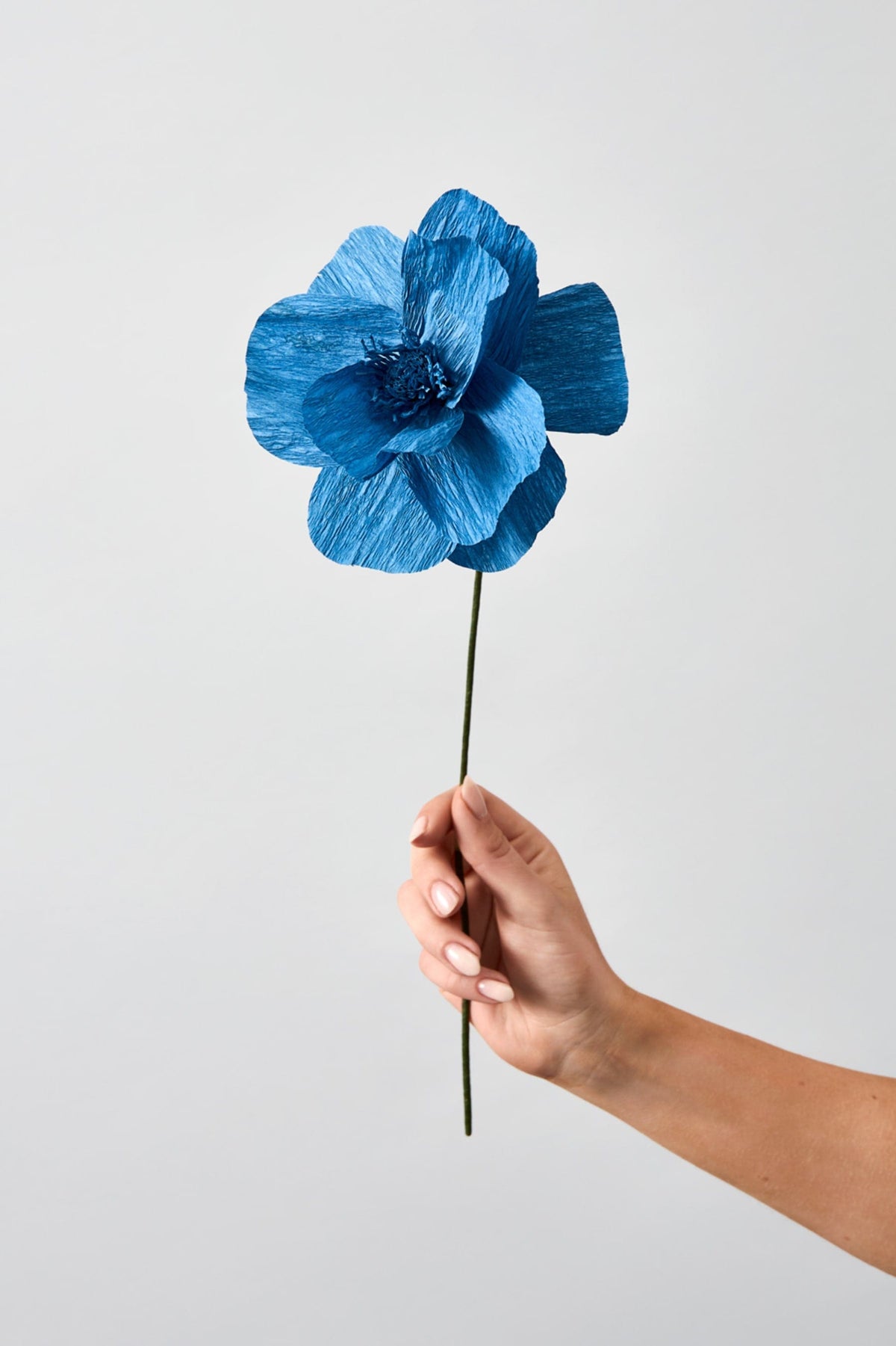 Vasenglück Papierblumen Papierblume | Himalaya Mohn | Blau