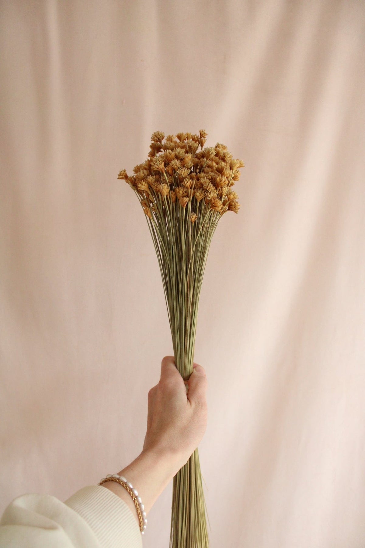 Vasenglück Trockenblumen Bergblumen | Natur Gelb