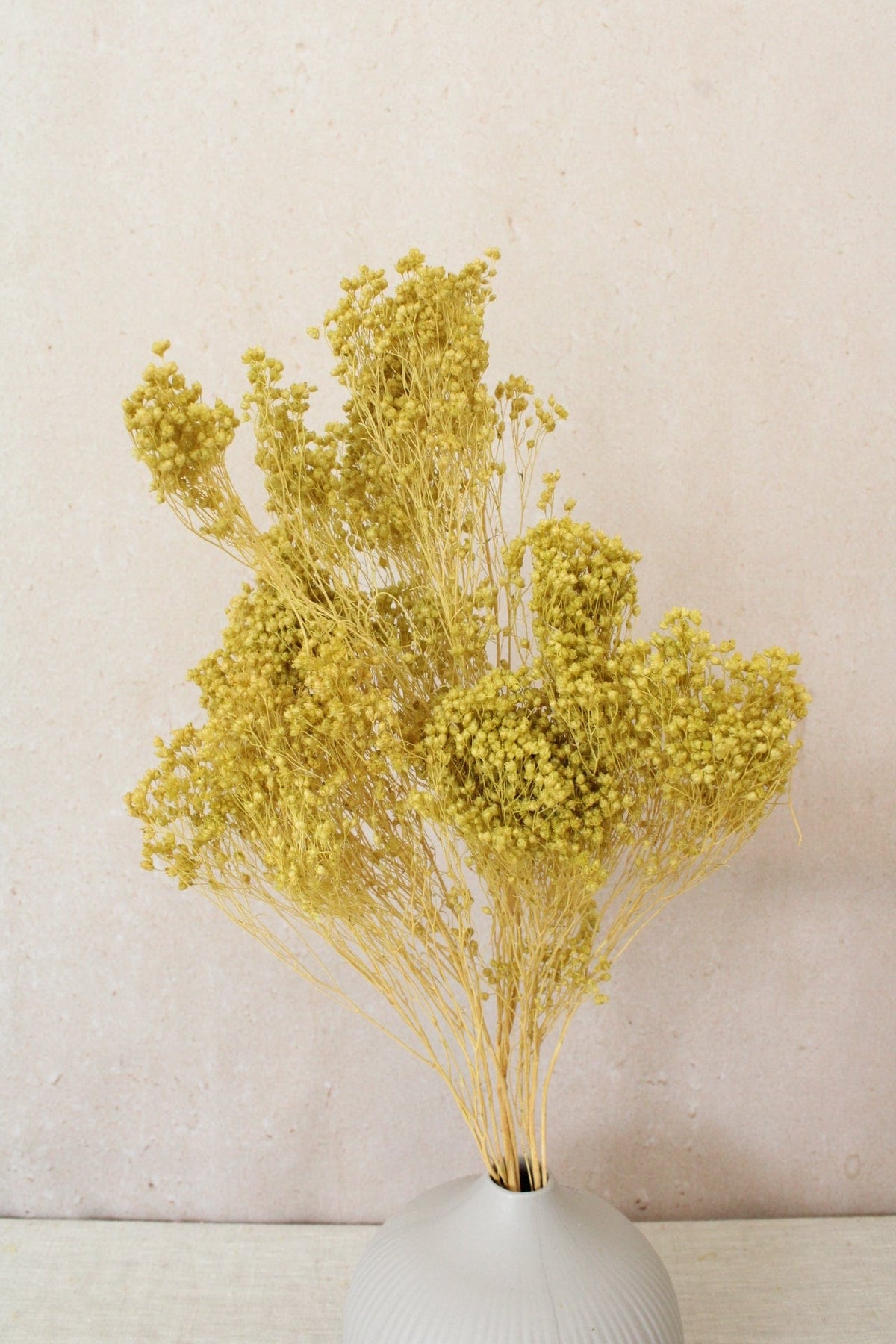 Vasenglück Trockenblumen 1 Bund Broom Bloom | Kiwigrün