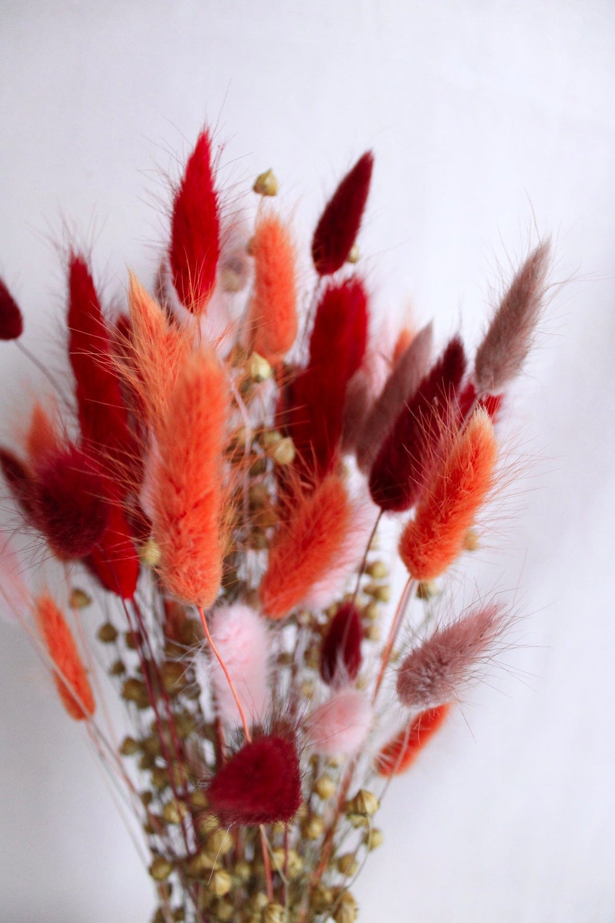 Vasenglück Trockenblumen Trockenblumenstrauss „No. 65“ mit Lagurus in Rot, Rosa & Orange