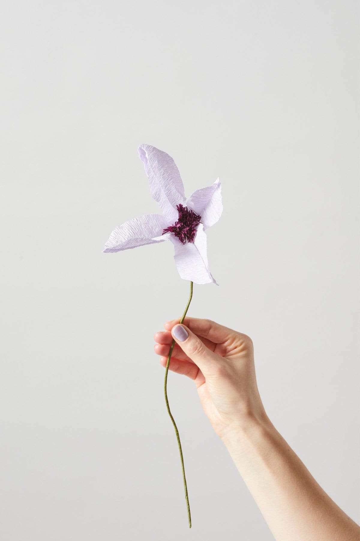 Papierblume | Clematis | Lila Vasenglück