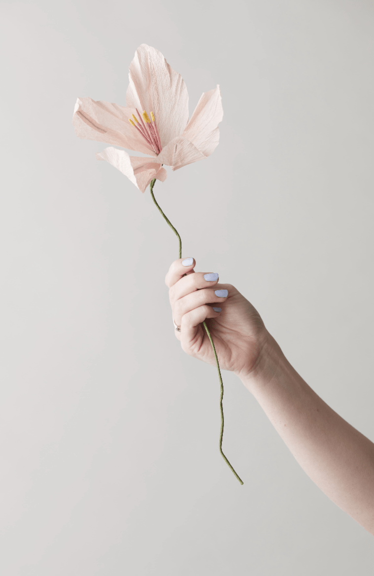 Papierblume | Lilie | Rosa Vasenglück