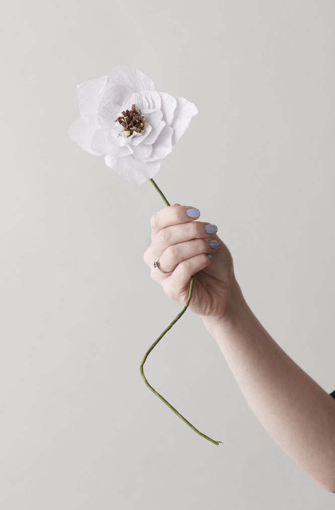 Papierblume | Mohn | Lila Vasenglück